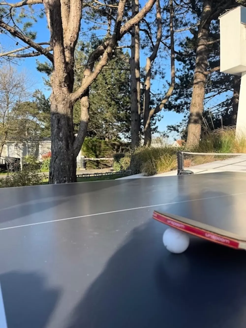 Foresta Stella-Plage #