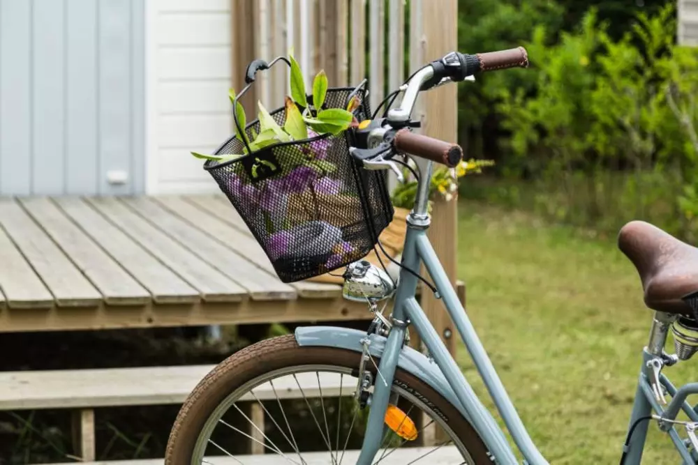 Foresta Stella-Plage #