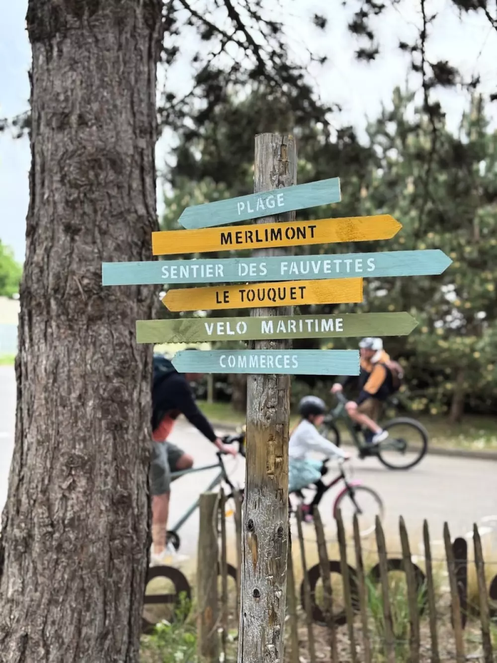 Foresta Stella-Plage #