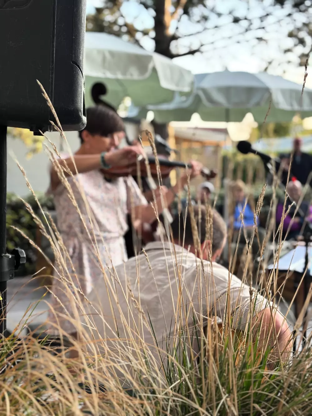 Foresta Stella-Plage #