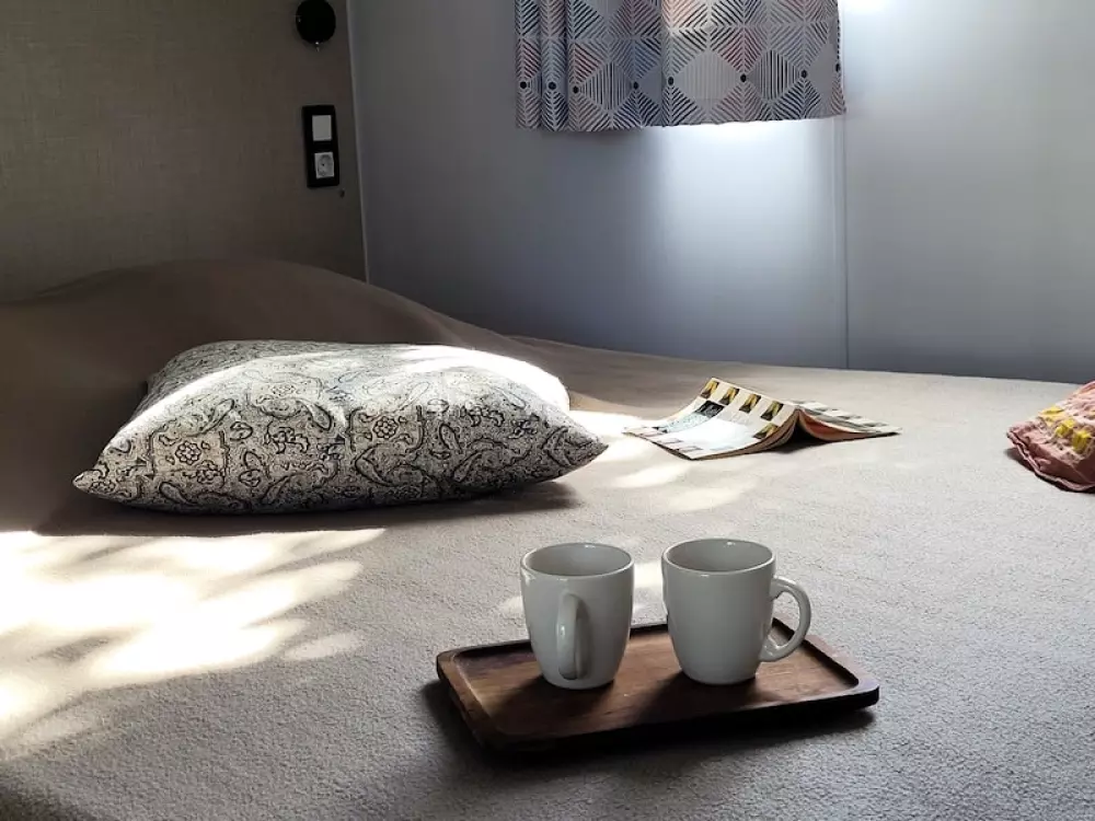 Foresta Stella-Plage #