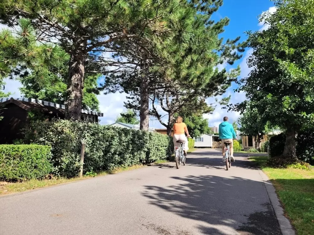 Foresta Stella-Plage #