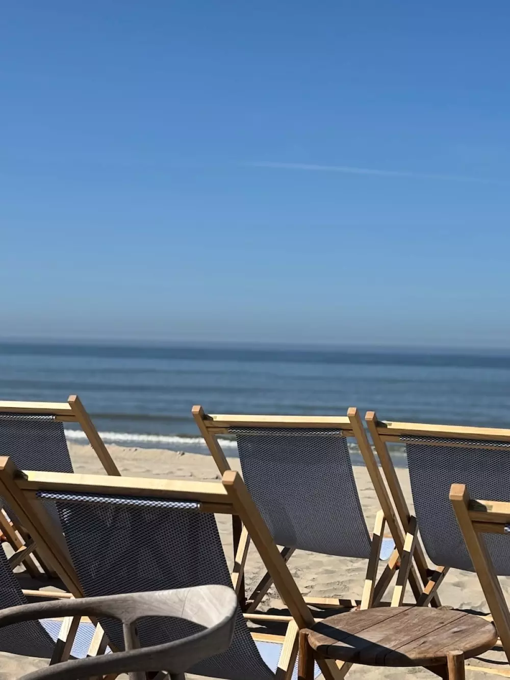 Foresta Stella-Plage #