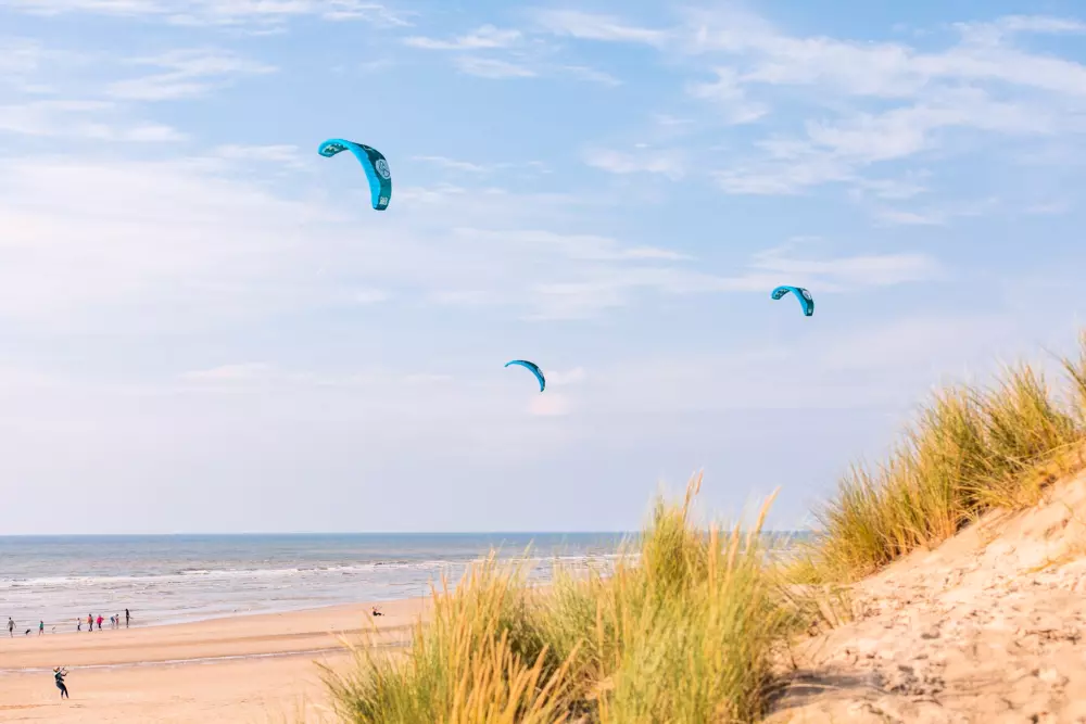 Foresta Stella-Plage #