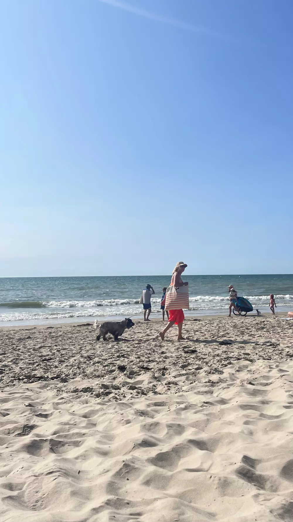 Foresta Stella-Plage #