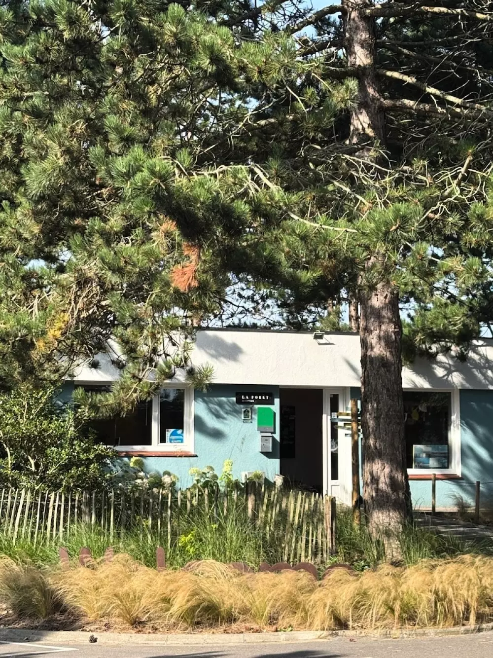 Foresta Stella-Plage #