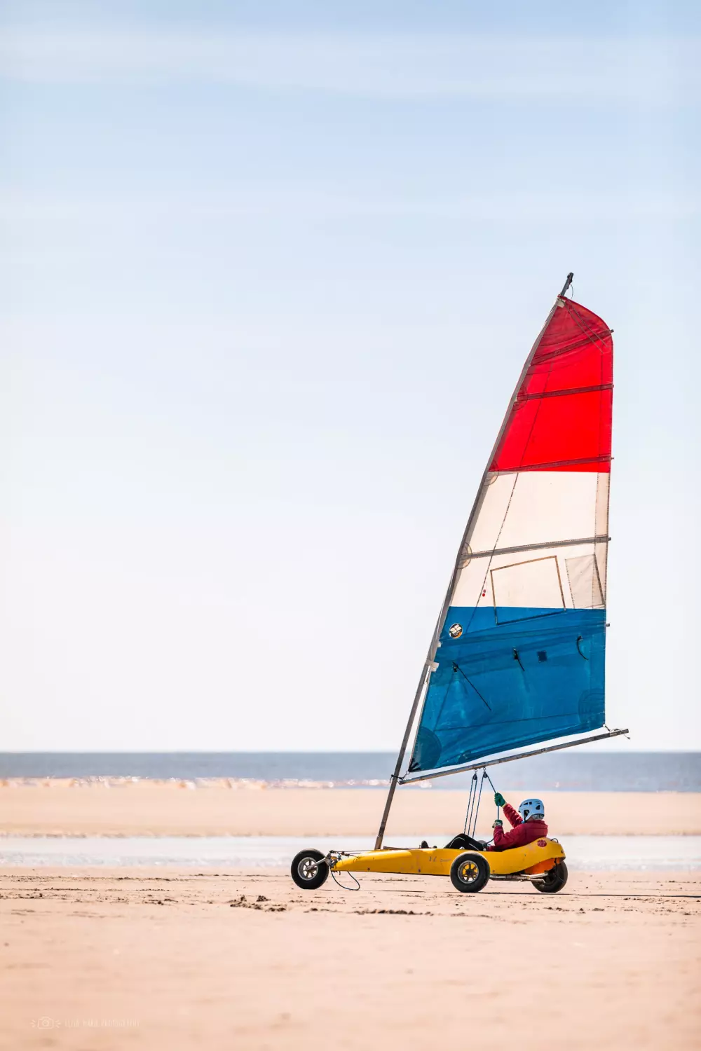 Foresta Stella-Plage #