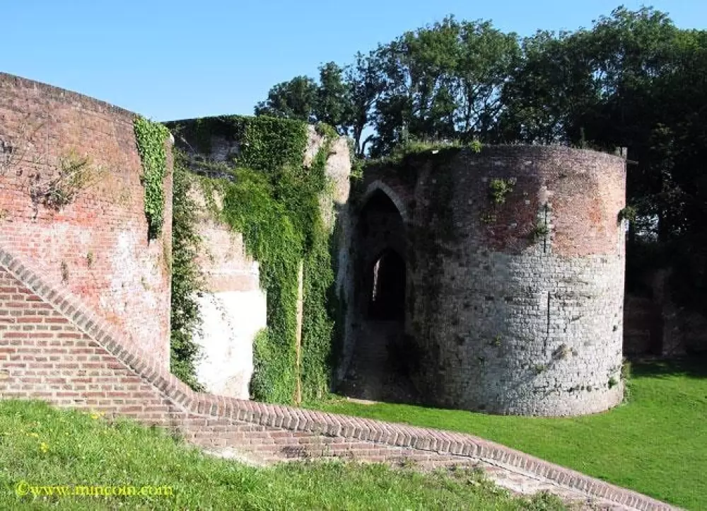 Foresta Stella-Plage #