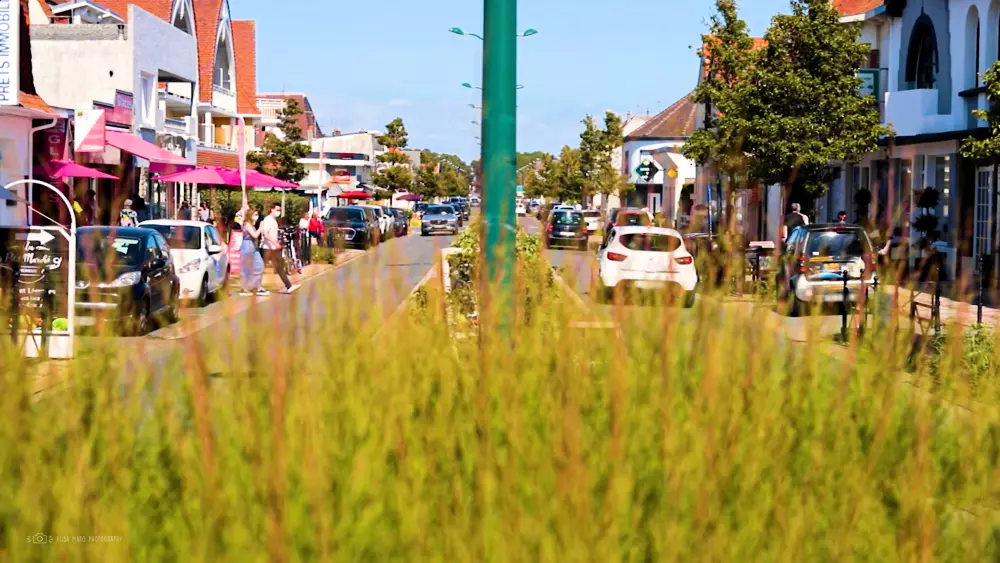 Foresta Stella-Plage #