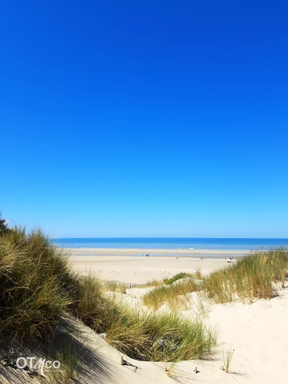 Foresta Stella-Plage #