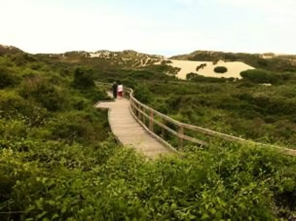 Foresta Stella-Plage #