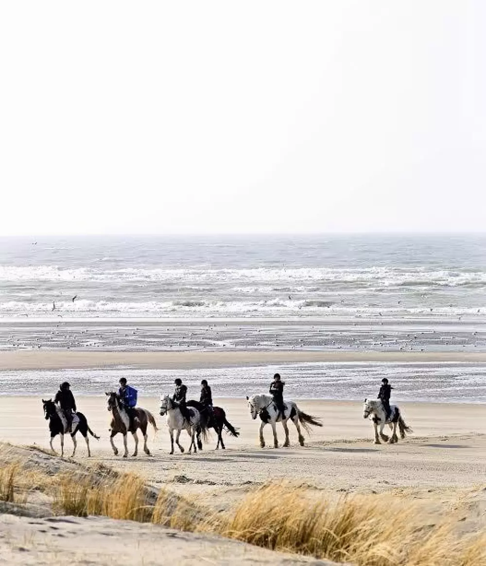 Foresta Stella-Plage #