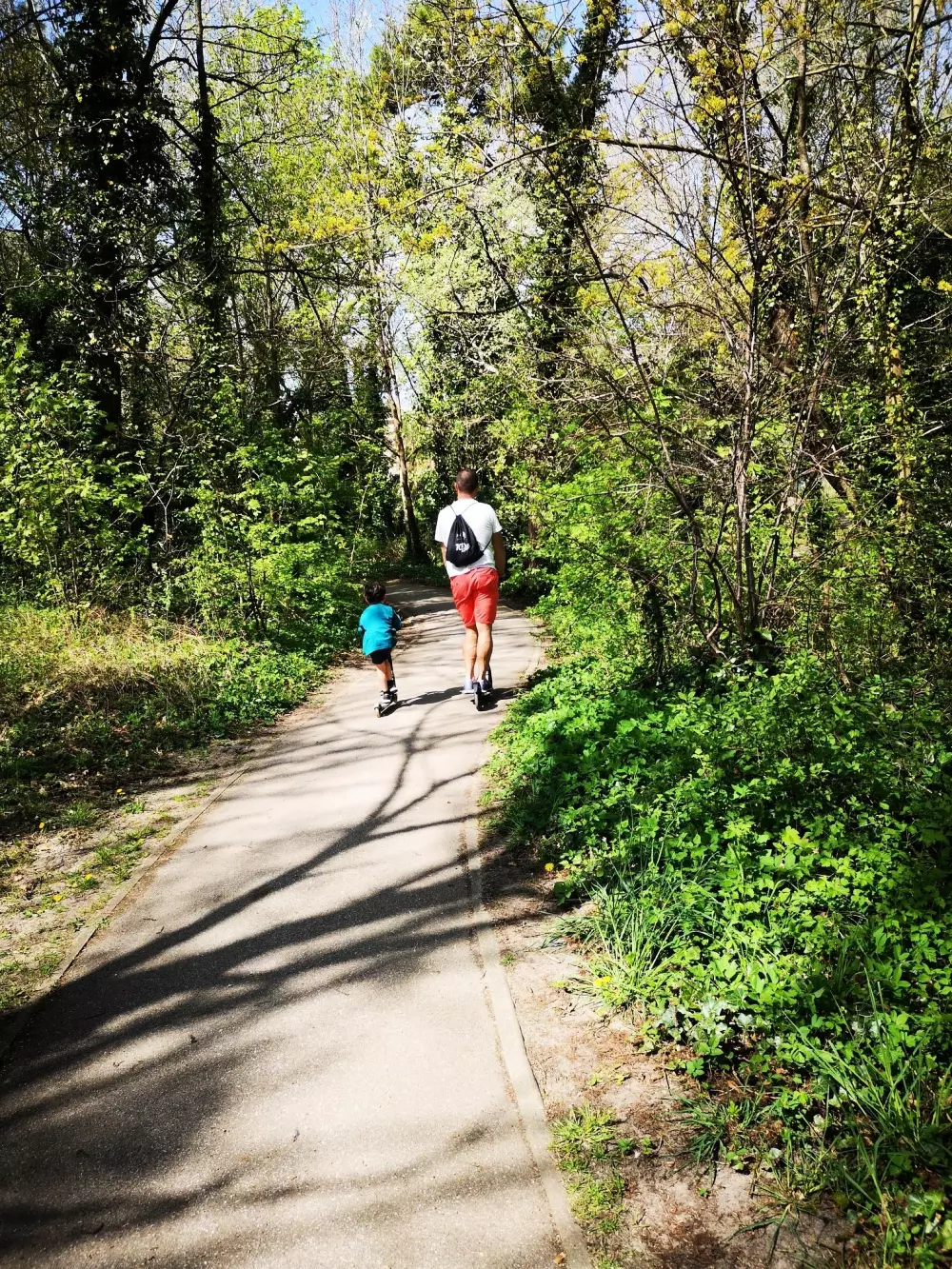 Foresta Stella-Plage #