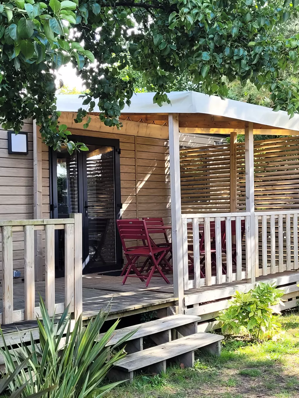 Foresta Stella-Plage #