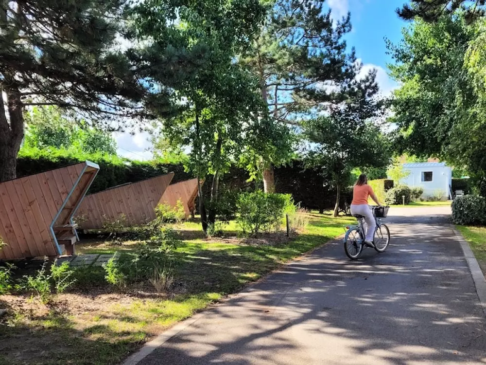 Foresta Stella-Plage #