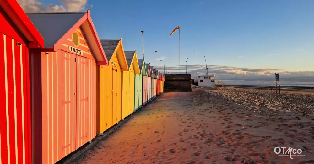 Foresta Stella-Plage #