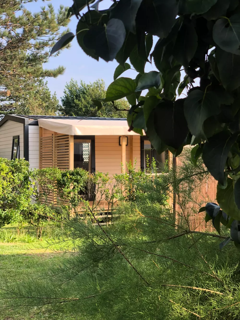 Foresta Stella-Plage #