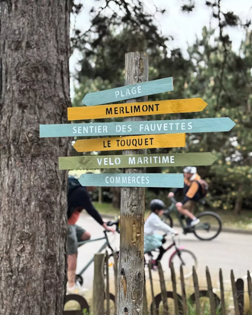 Foresta Stella-Plage #