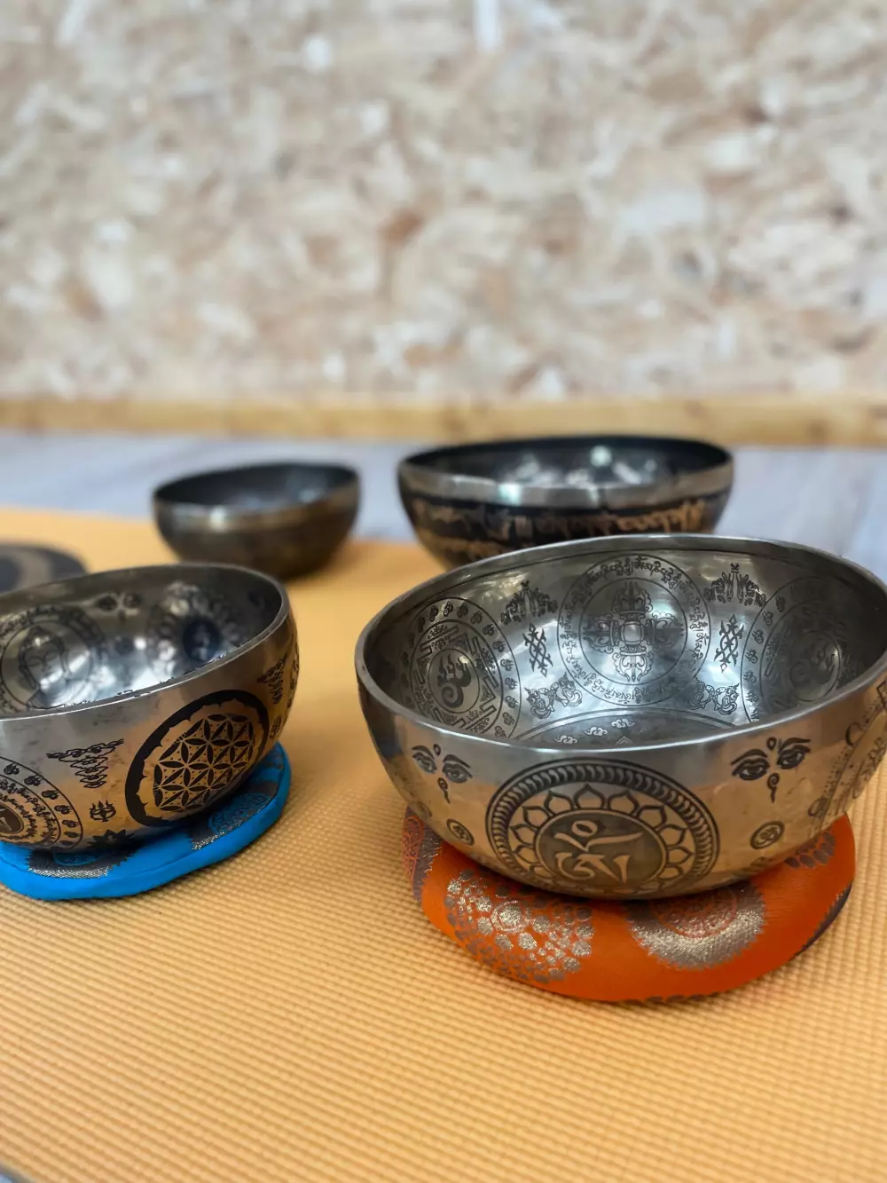 Foresta Stella-Plage #