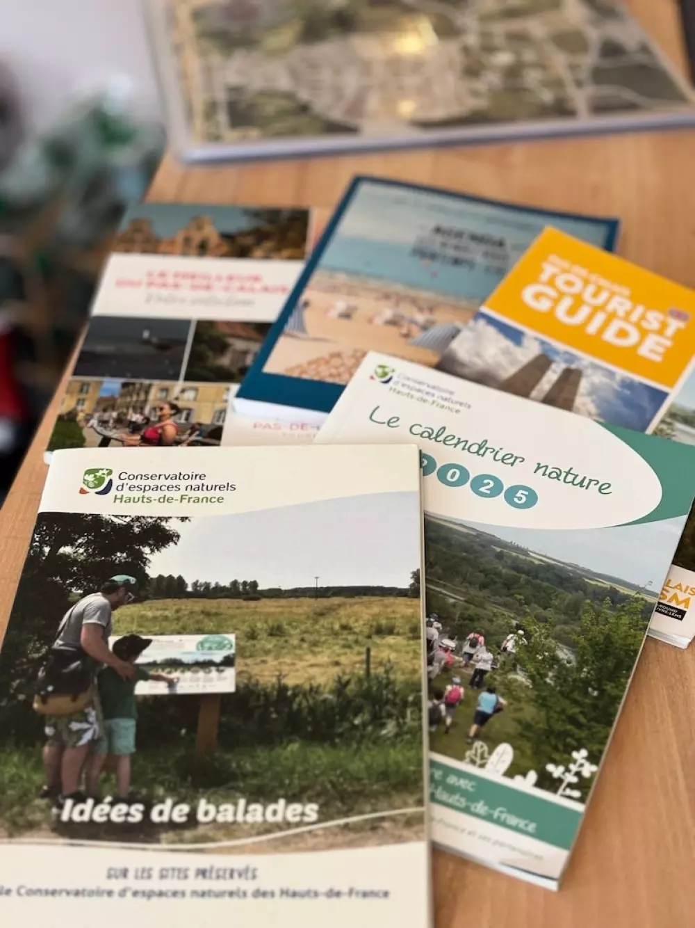 Foresta Stella-Plage #