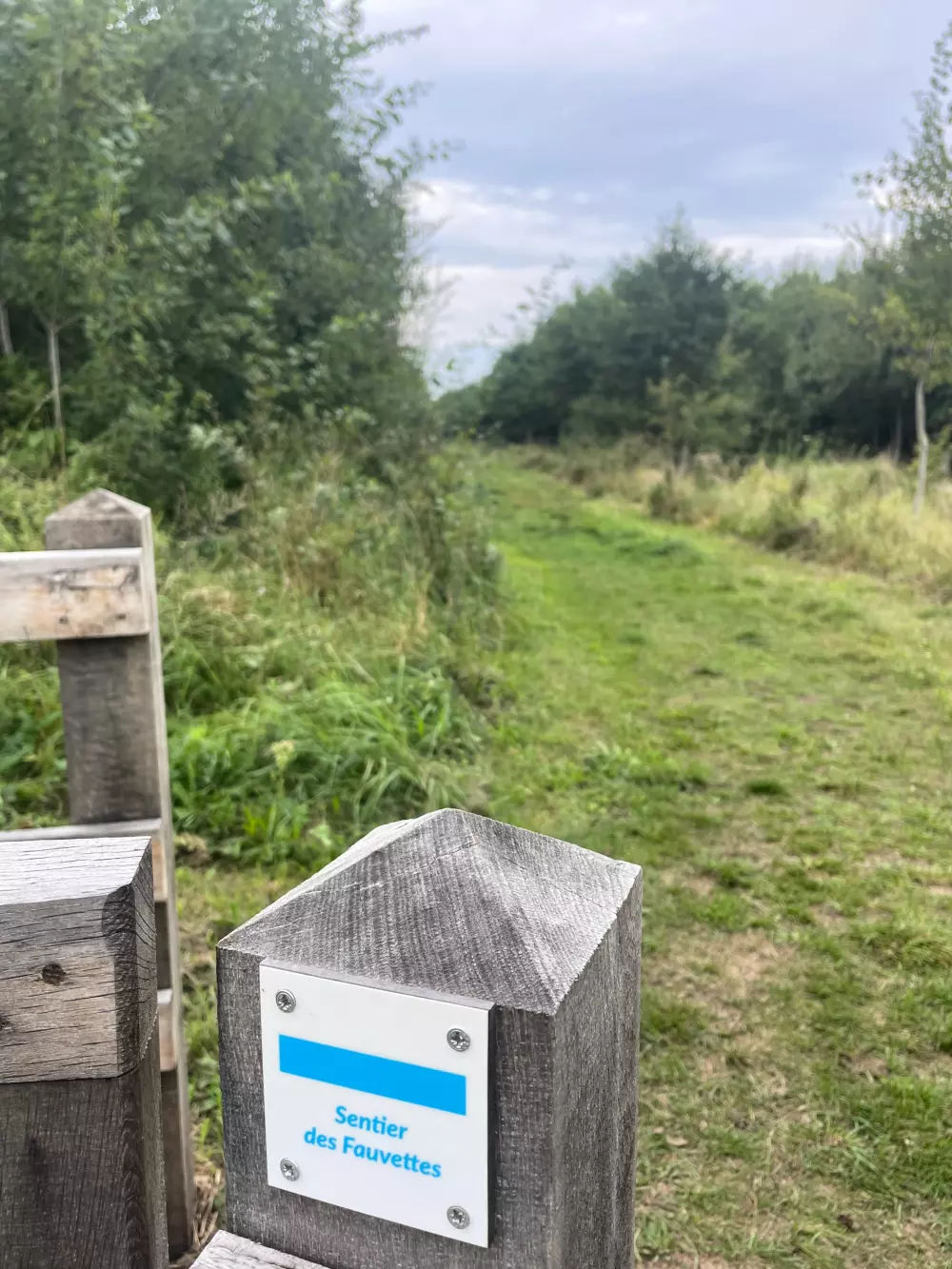 Foresta Stella-Plage #