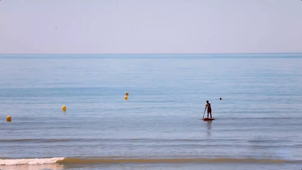 Foresta Stella-Plage #