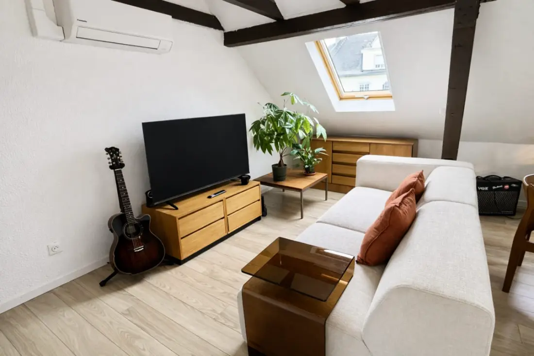 Le Doux Refuge : Appartement Cosy à Strasbourg
