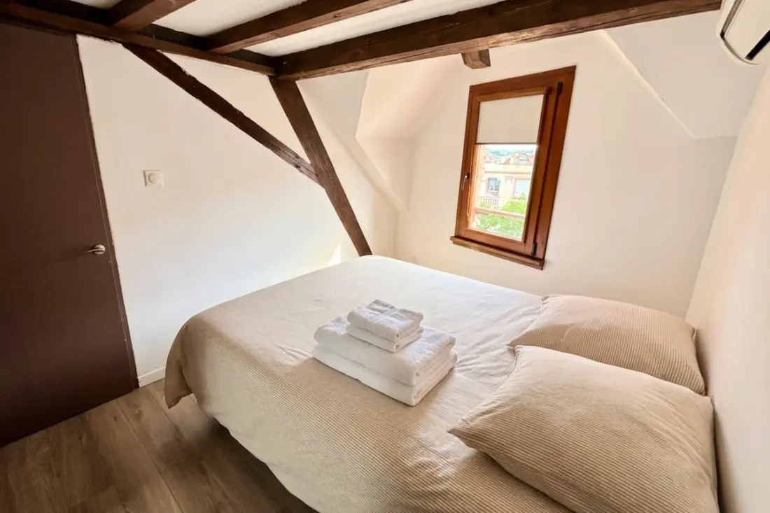 Le Doux Refuge : Appartement Cosy à Strasbourg