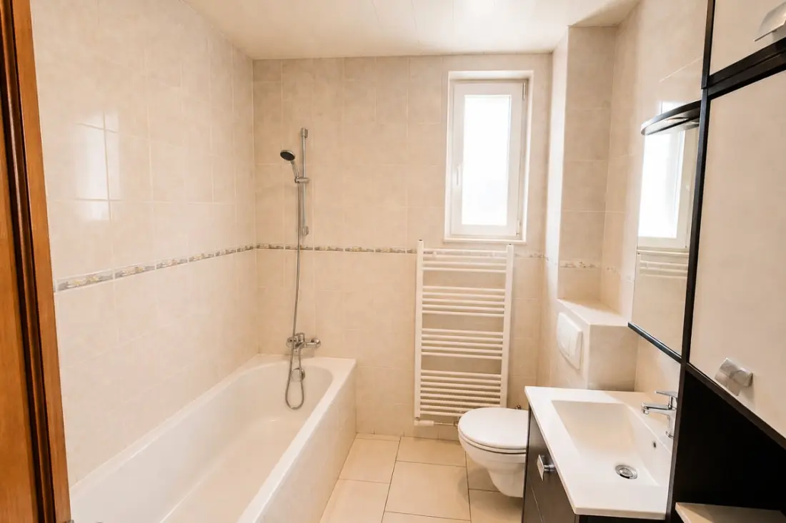 Appartement Spacieux Avec Jardin à Strasbourg