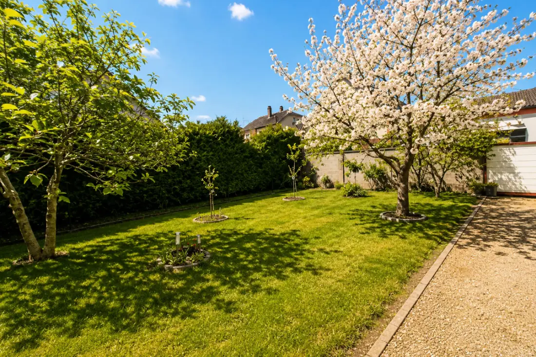 Appartement Spacieux Avec Jardin à Strasbourg