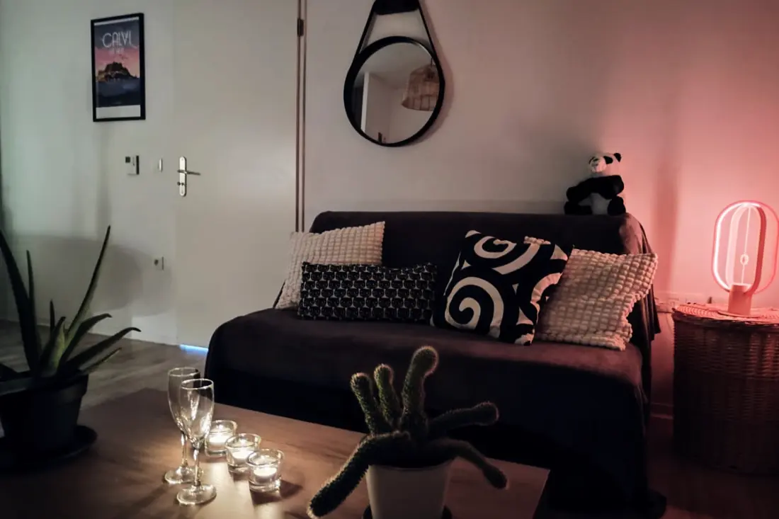 Le Salluste: T2 Cosy Z Balkonem w Strasburgu.