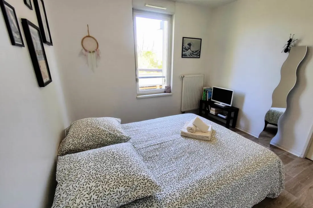 Le Salluste: T2 Cosy Z Balkonem w Strasburgu.