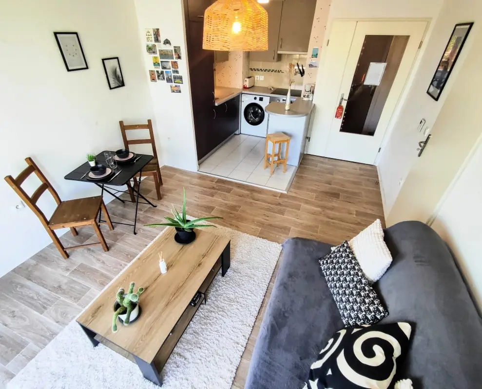 Le Salluste: T2 Cosy Z Balkonem w Strasburgu.