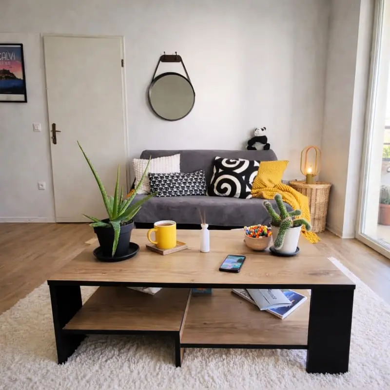 Le Salluste: T2 Cosy Z Balkonem w Strasburgu.