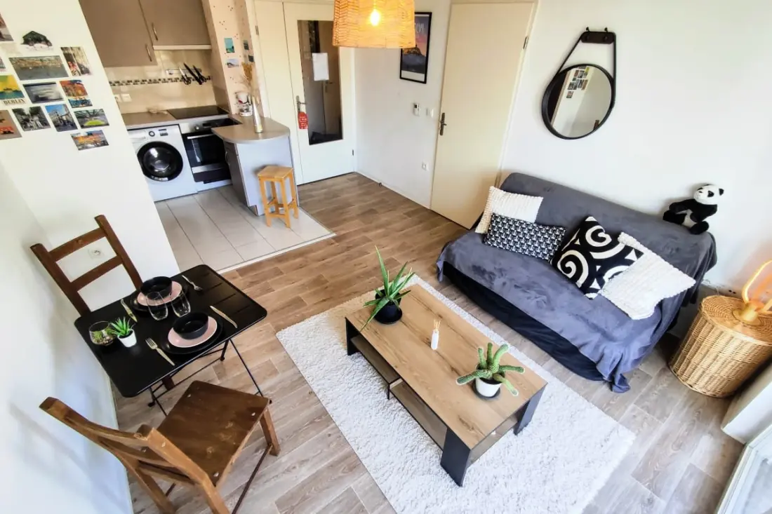 Le Salluste: T2 Cosy Z Balkonem w Strasburgu.