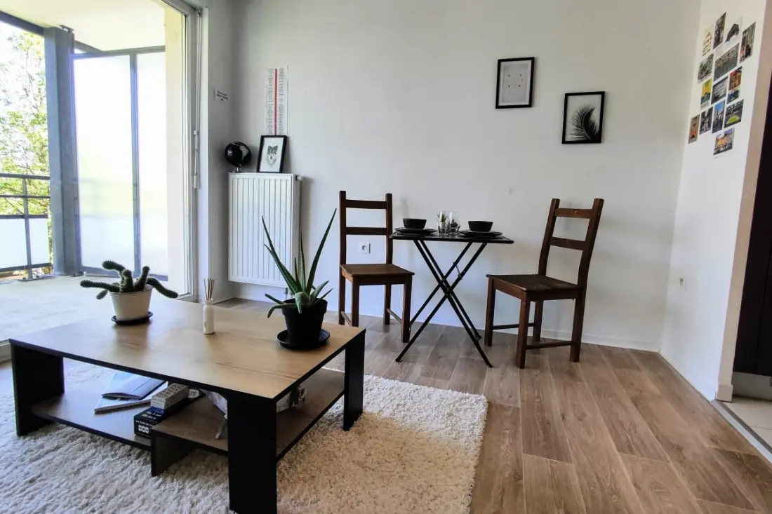 Le Salluste: T2 Cosy Z Balkonem w Strasburgu.