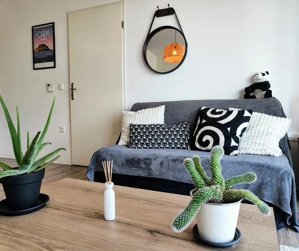 Le Salluste: T2 Cosy Z Balkonem w Strasburgu.