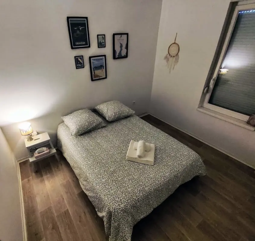 Le Salluste: T2 Cosy Z Balkonem w Strasburgu.