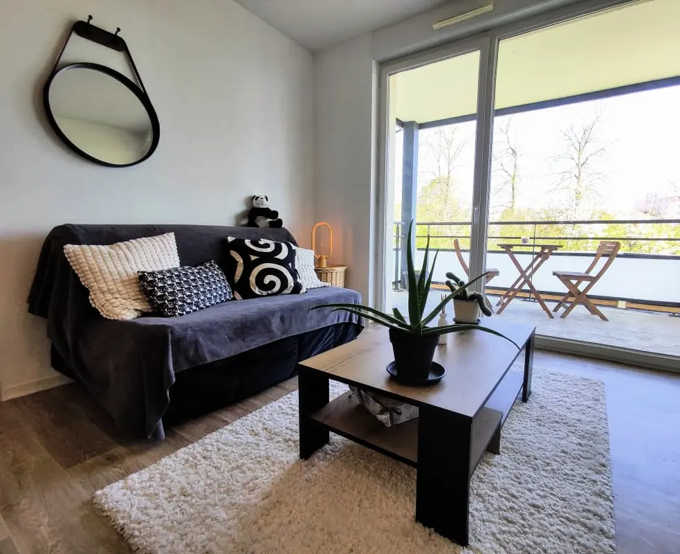 Le Salluste: T2 Cosy Z Balkonem w Strasburgu.