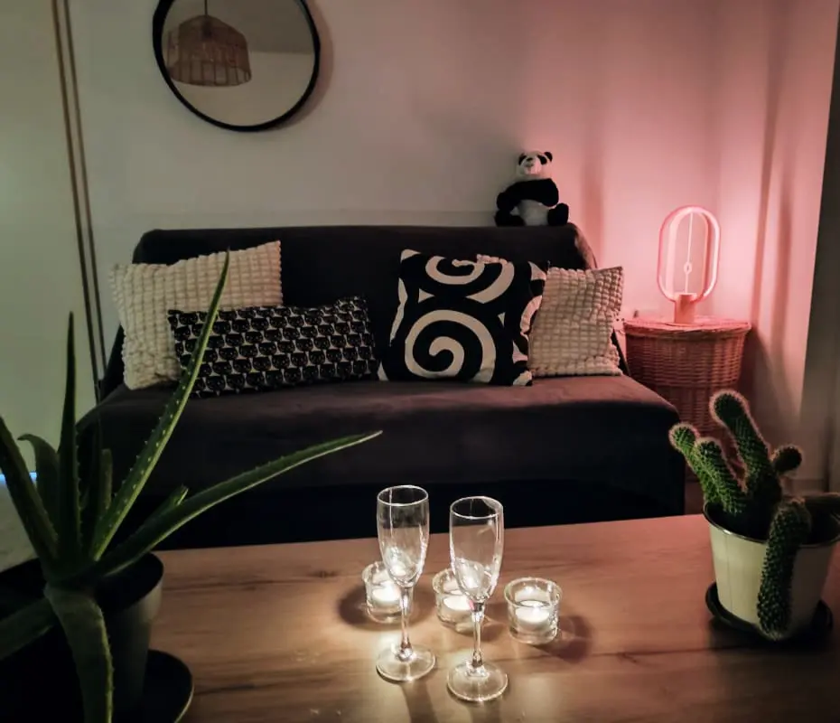 Le Salluste: T2 Cosy Z Balkonem w Strasburgu.