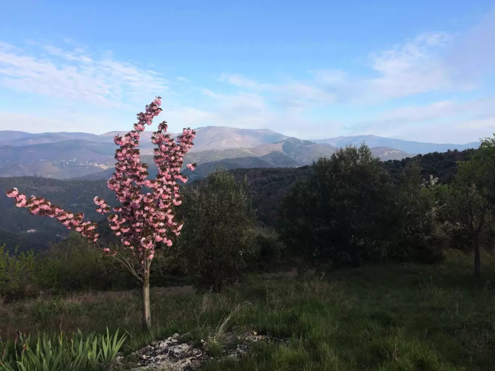 Campingplatz Les Gorges de l'Hérault 3 Sterne★★★