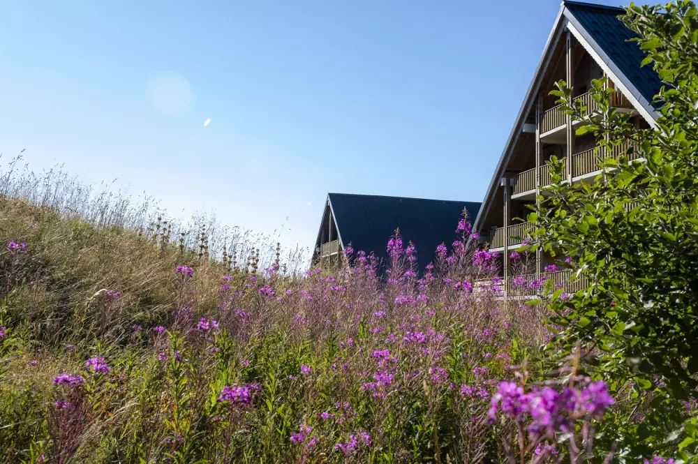 Residentie Goelia Les Chalets de Super-Besse 3 Sterren★★★