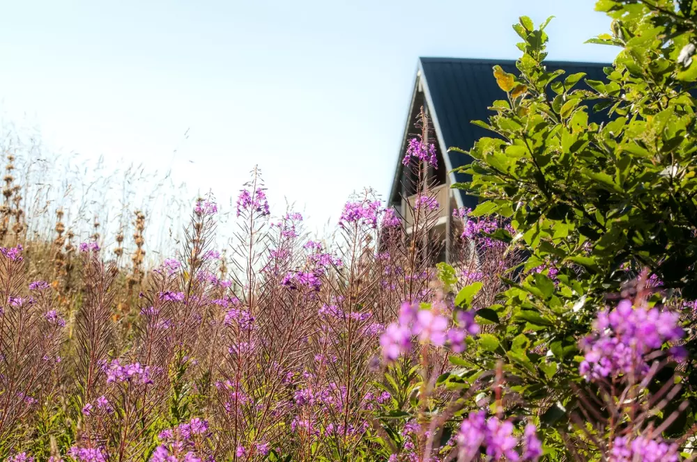 Residentie Goelia Les Chalets de Super-Besse 3 Sterren★★★