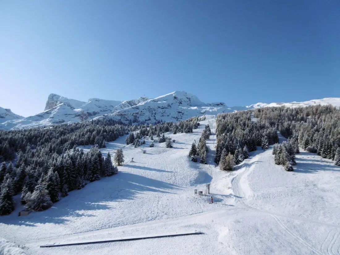 Superd Chalets Helianthema