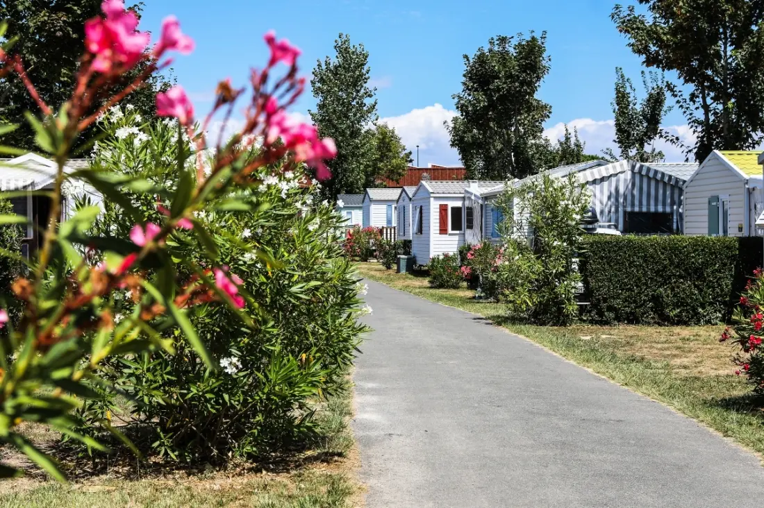 Camping Maeva Club Les Dinosaures 4 Sterne★★★★