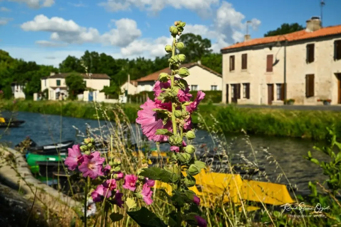 Kemping Les Flots de l'Océan 3 Csillagok★★★