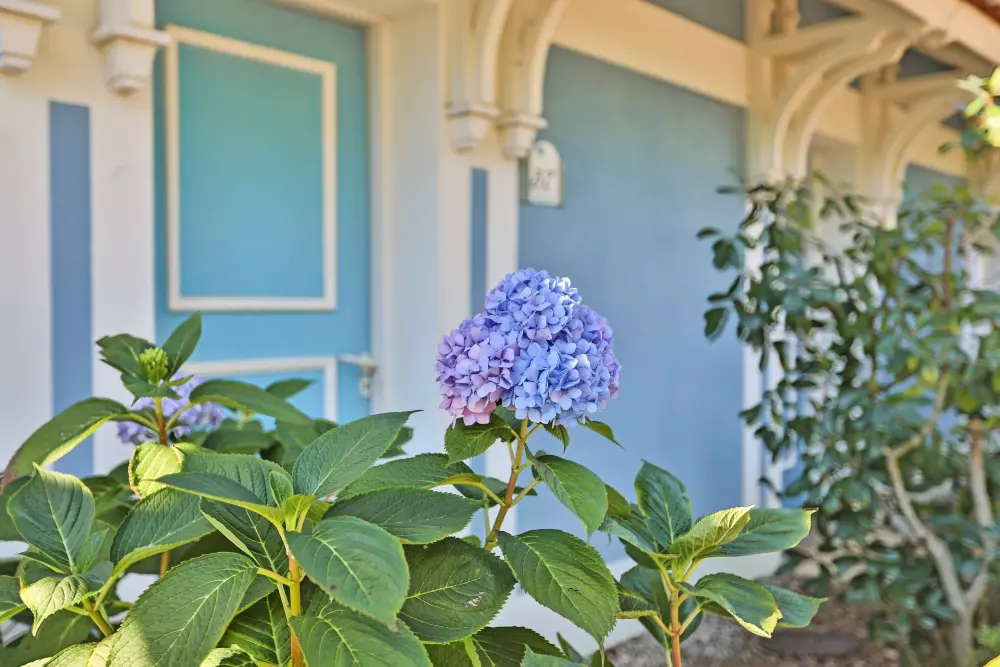 Residence Pierre & Vacances Port-Bourgenay 3 Sterren★★★