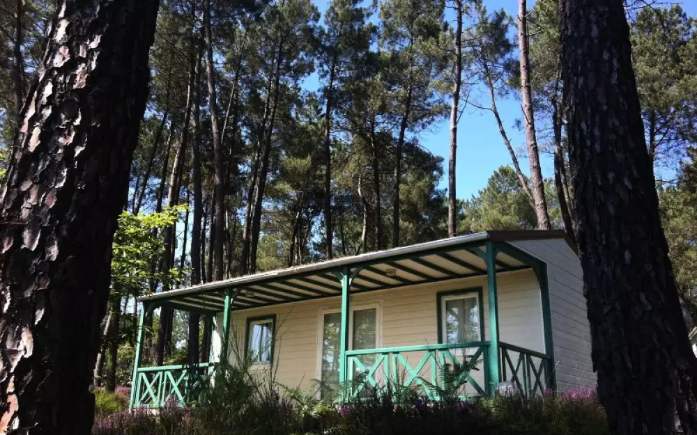 Domaine des Grands Pins 4 Estrellas★★★★