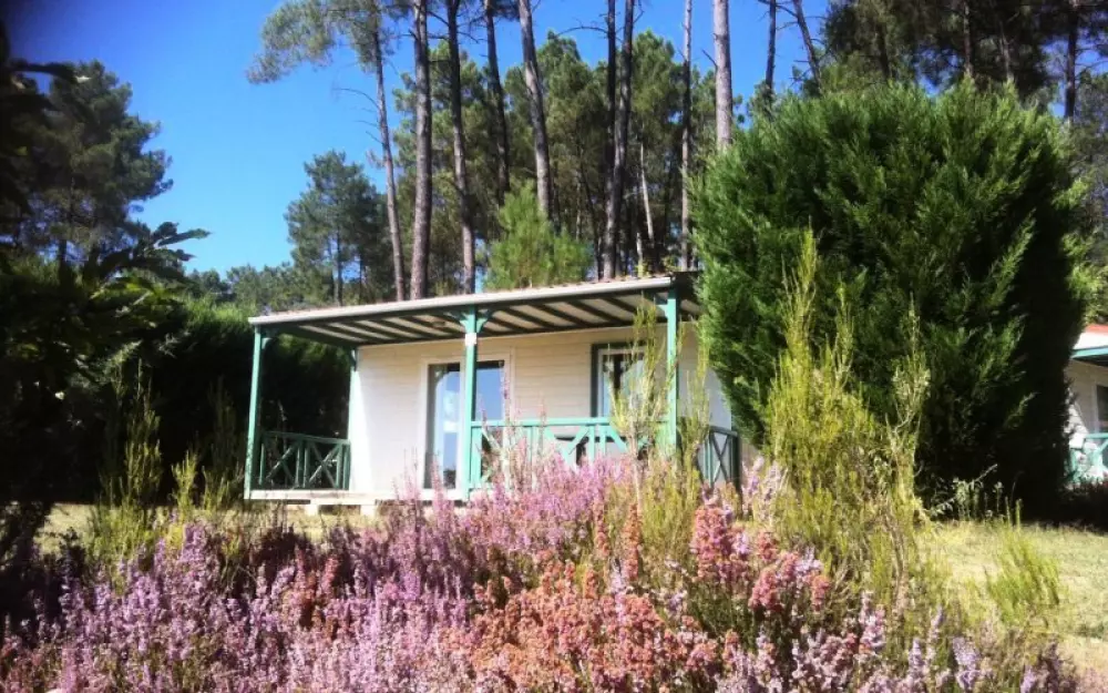 Domaine des Grands Pins 4 Estrellas★★★★