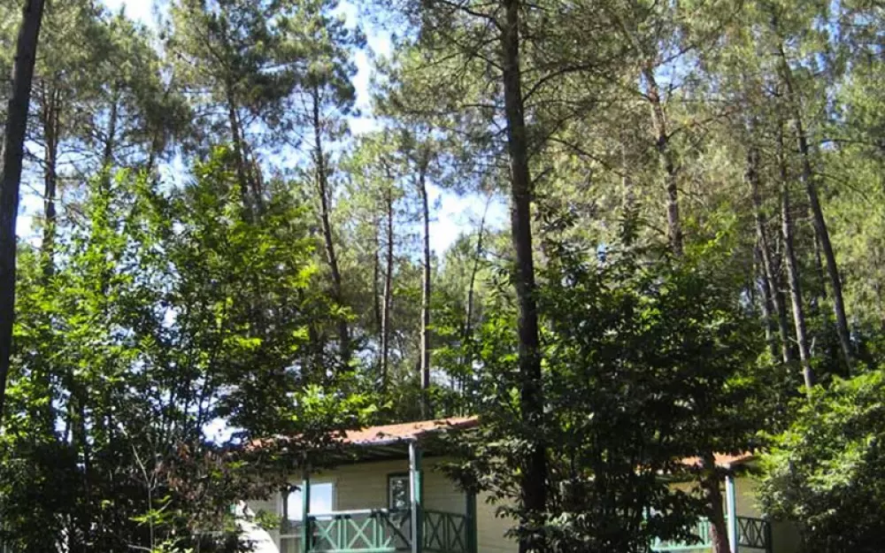 Domaine des Grands Pins 4 Estrellas★★★★